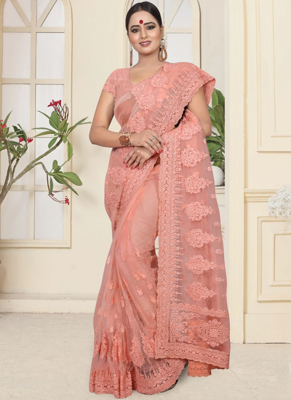 Classic Embroidered Net Saree - S0110