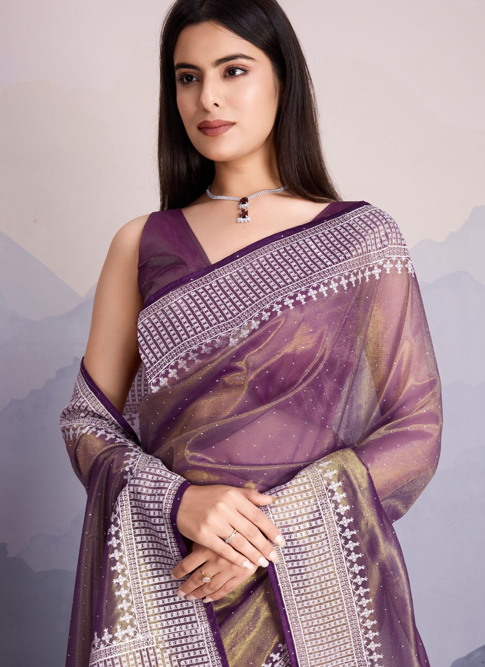 Classic Border Work Net Saree - S8339