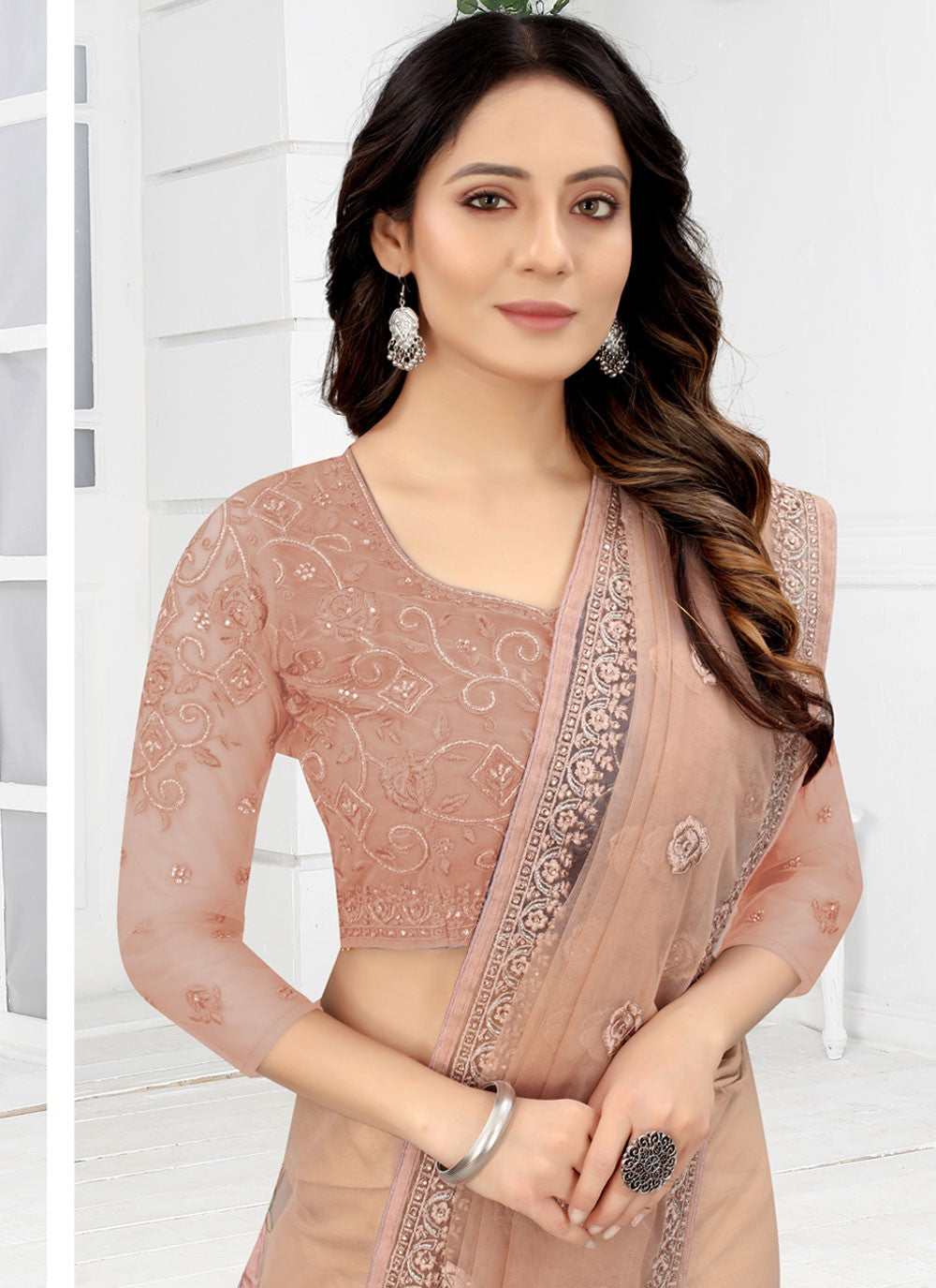 Classic Embroidered Net Saree - S3728