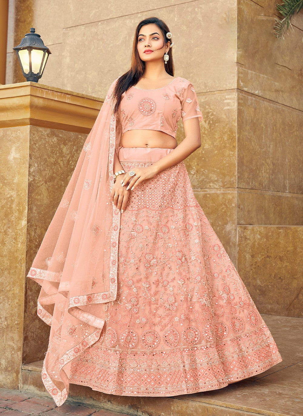 Embroidered Net A - Line Lehenga - L0941