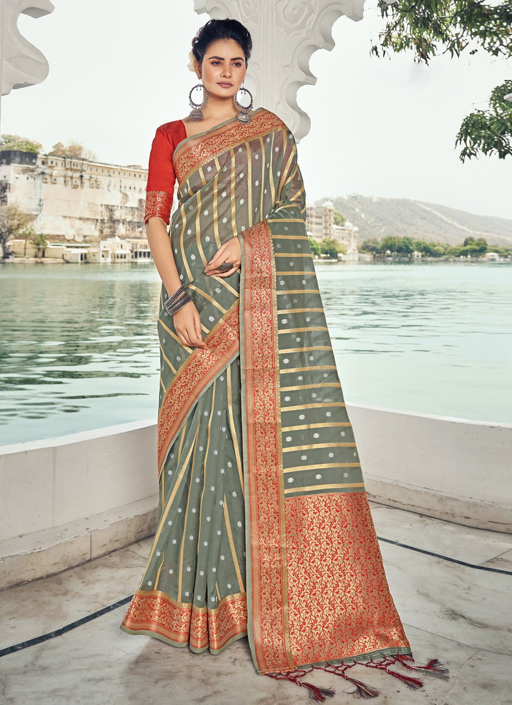 Classic Border Work Organza Saree - S1384