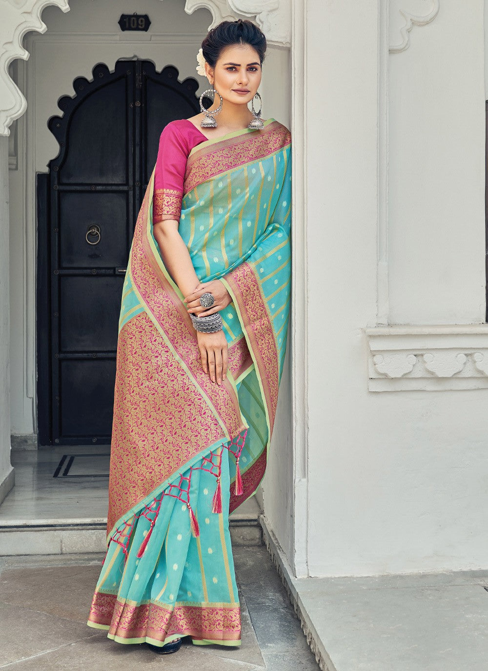 Classic Border Work Organza Saree - S1384