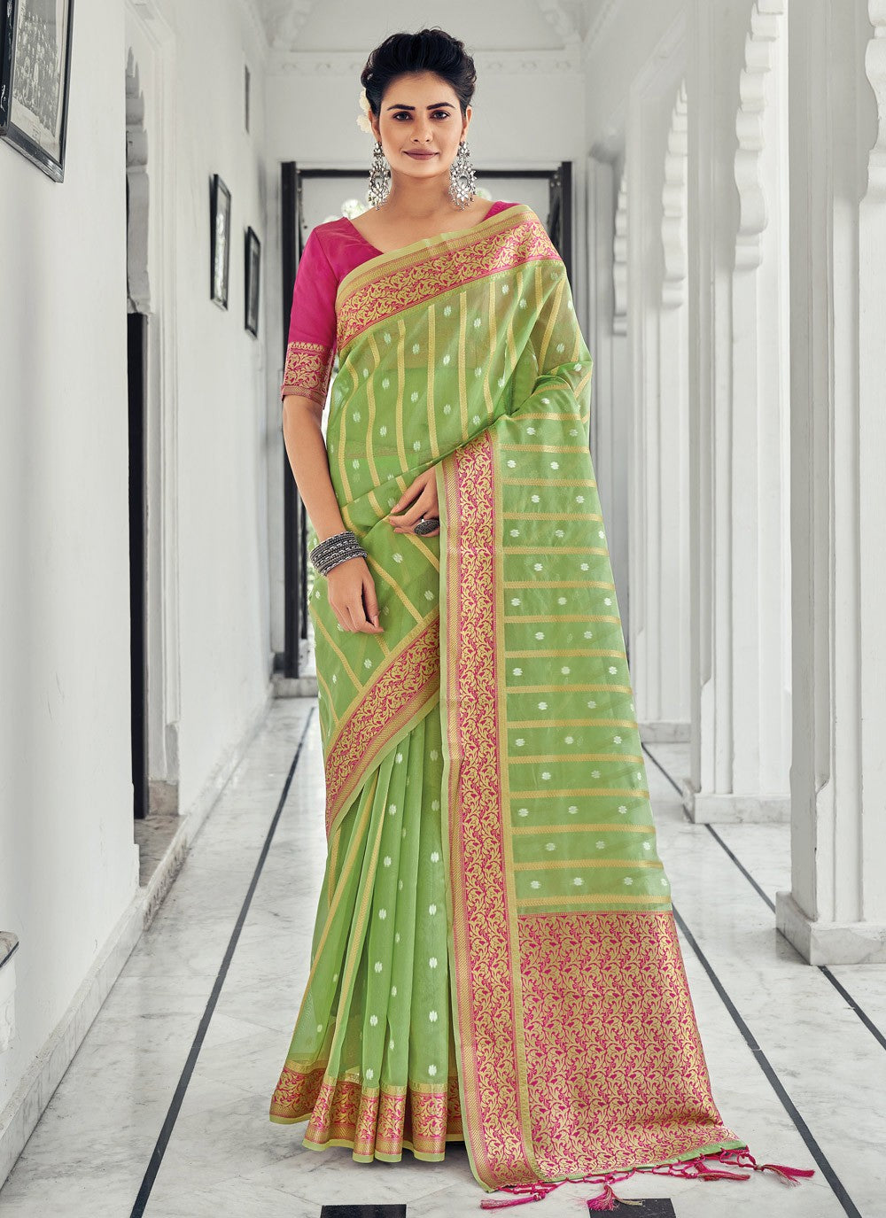 Classic Border Work Organza Saree - S1384