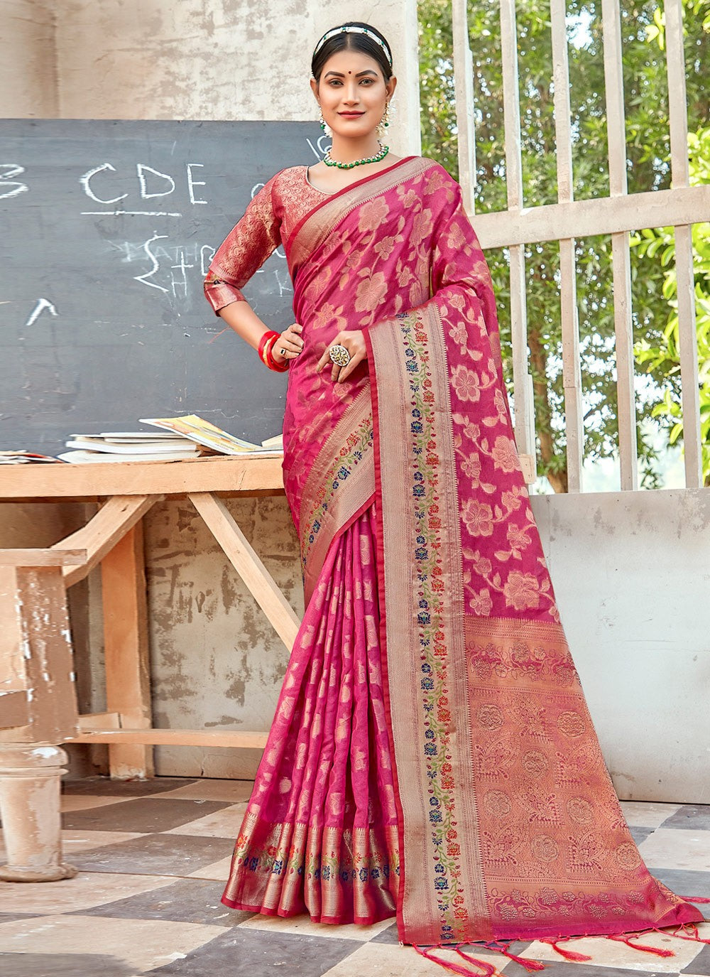 Traditional Embroidered Organza Saree - S2692