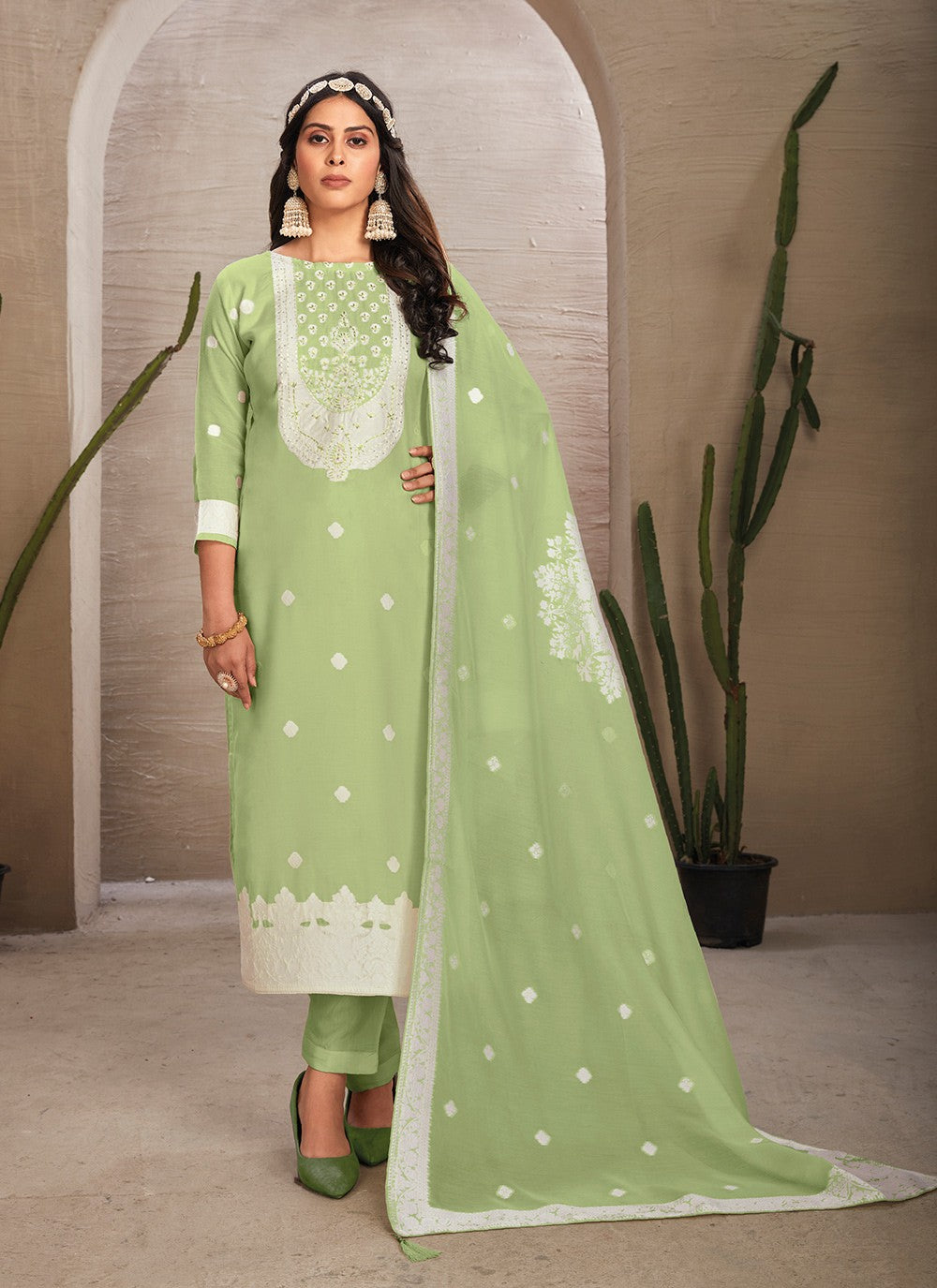 Organza Salwar Suit - T3010