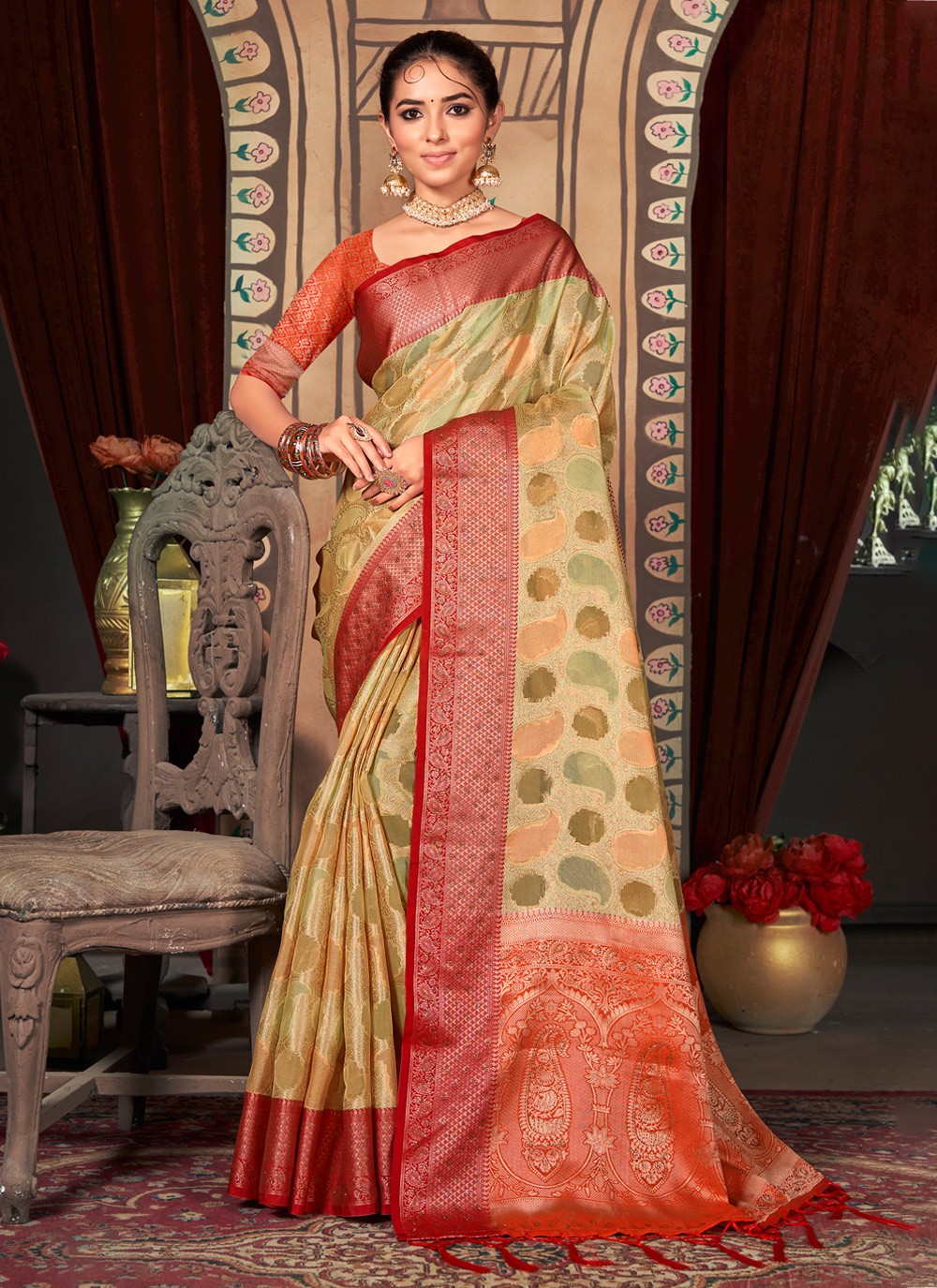 Classic Embroidered Organza Saree - S2553