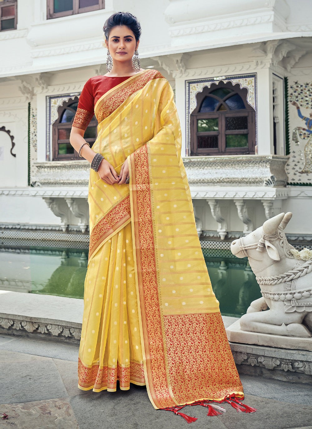 Classic Border Work Organza Saree - S1384