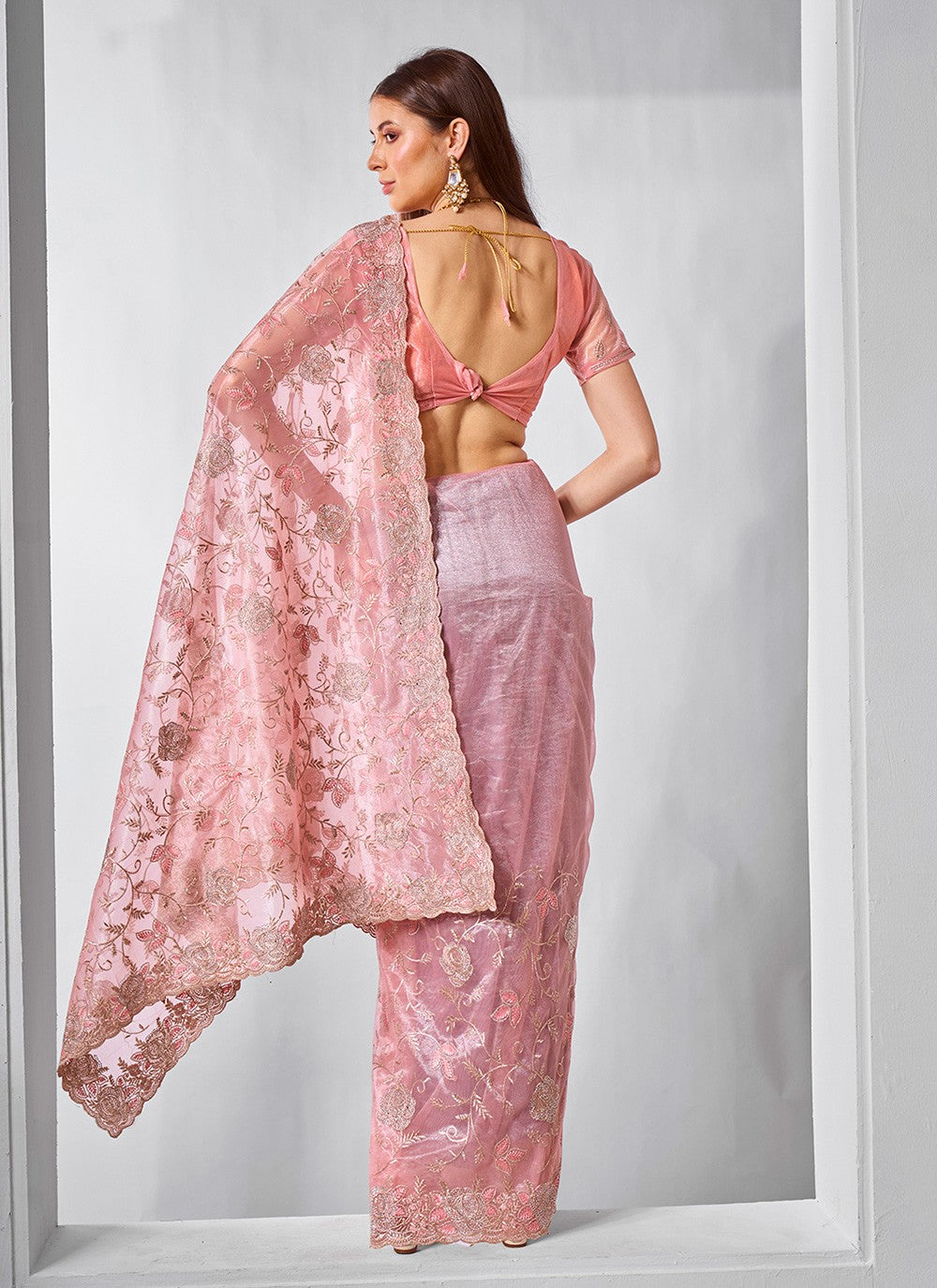 Classic Embroidered Net, Tissue Peach Saree - S10847