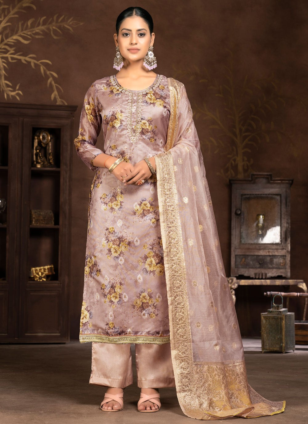 Organza Salwar Suit - T1970