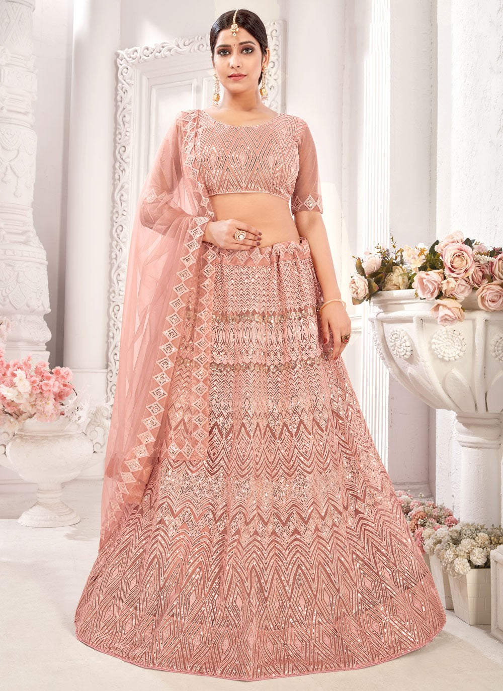 Embroidered Net A - Line Lehenga - L0187