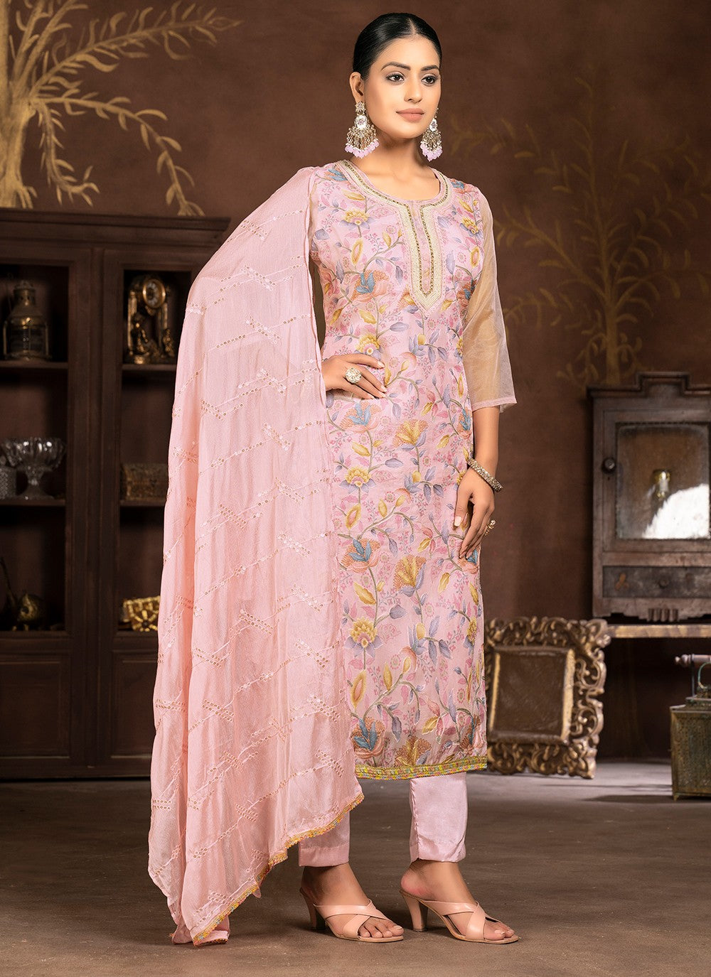 Organza Salwar Suit - T2102