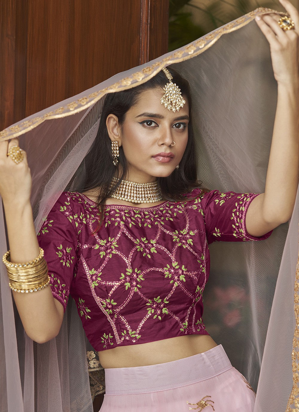 Embroidered Net A - Line Lehenga - M5192