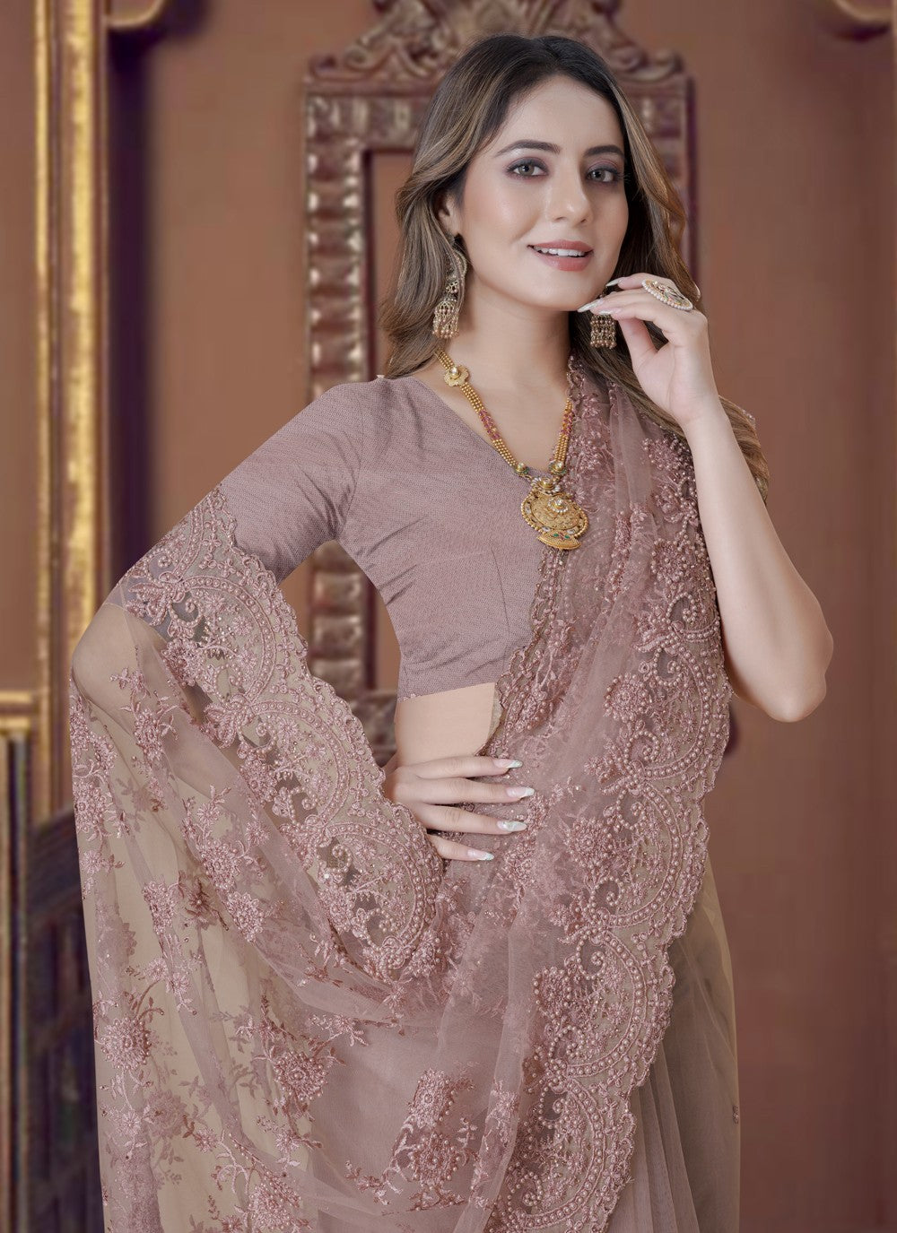 Classic Embroidered Net Saree - S3650