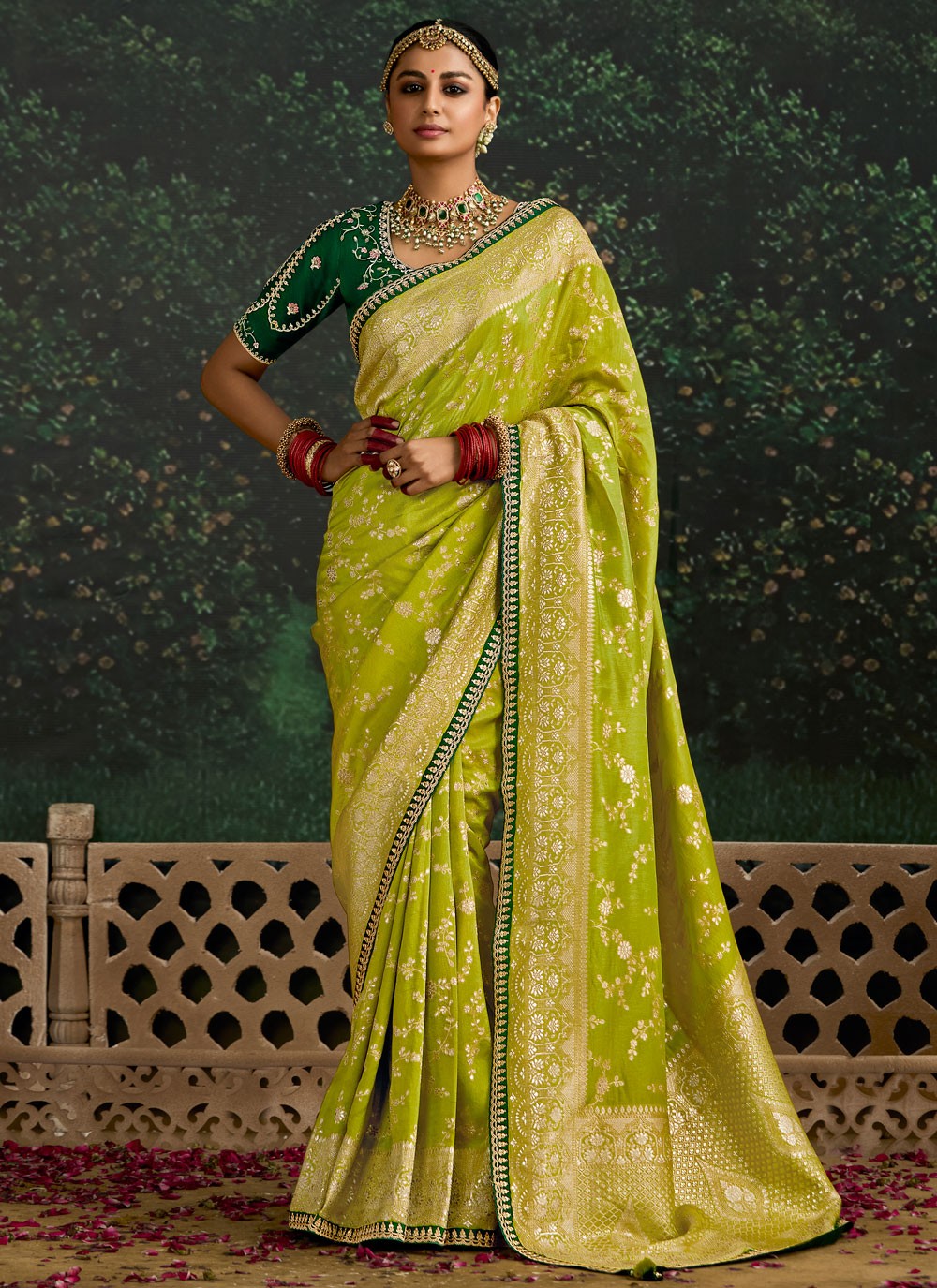 Classic Border Work Pure Dola Saree - S9686