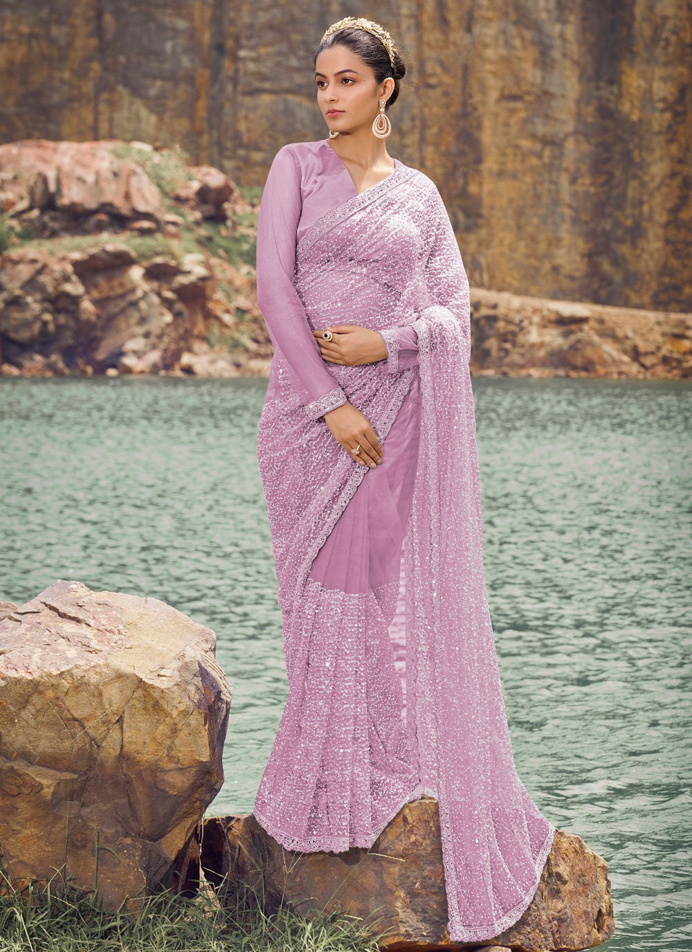 Classic Embroidered Net Saree - S8200