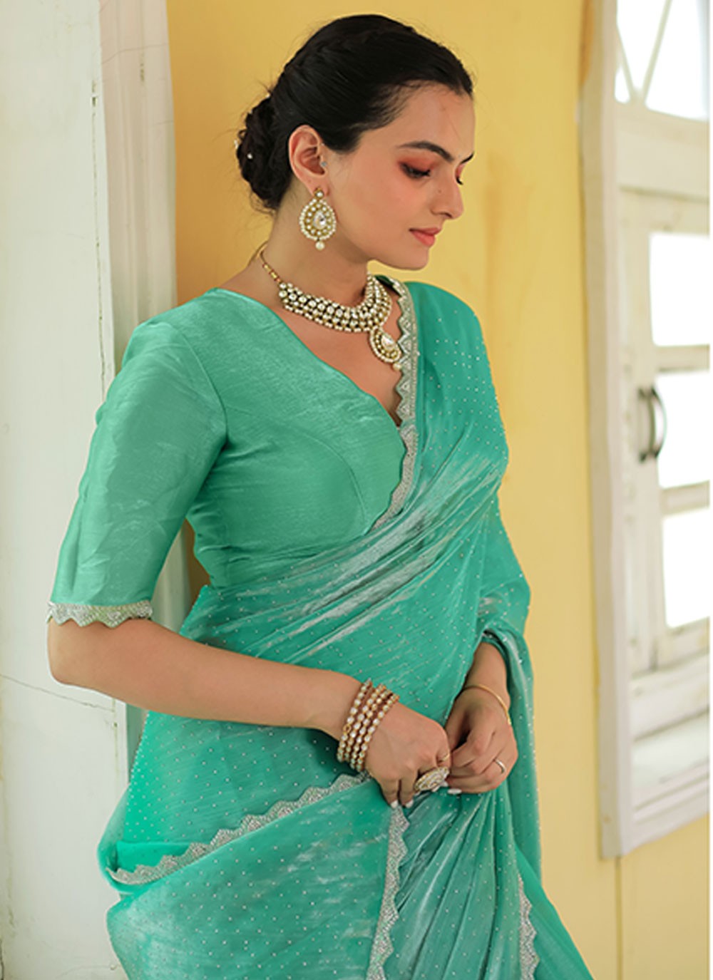 Classic Hand Embroidery Chiffon Saree - S6935