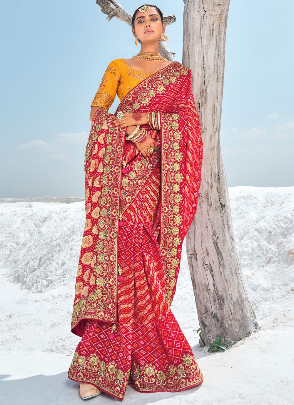 Classic Embroidered Georgette Saree - S9586