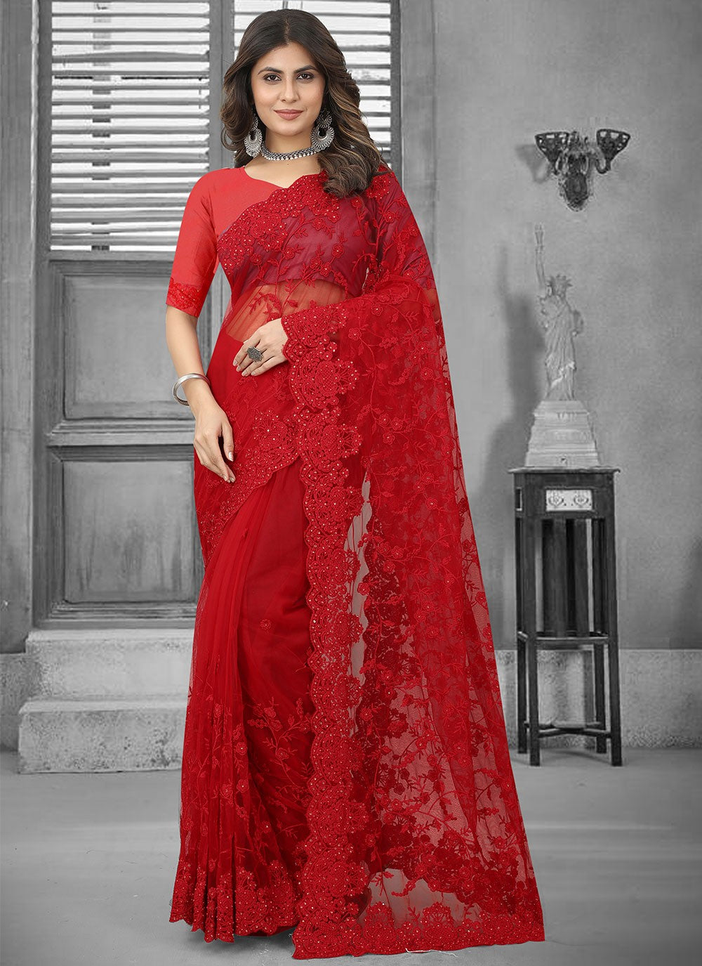 Classic Embroidered Net Saree - S3106