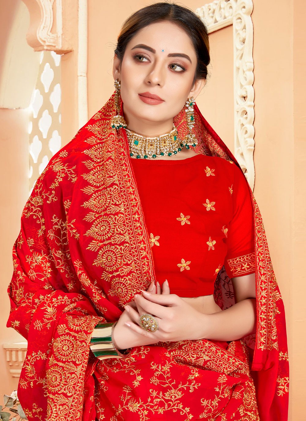 Classic Embroidered Georgette Saree - S1956