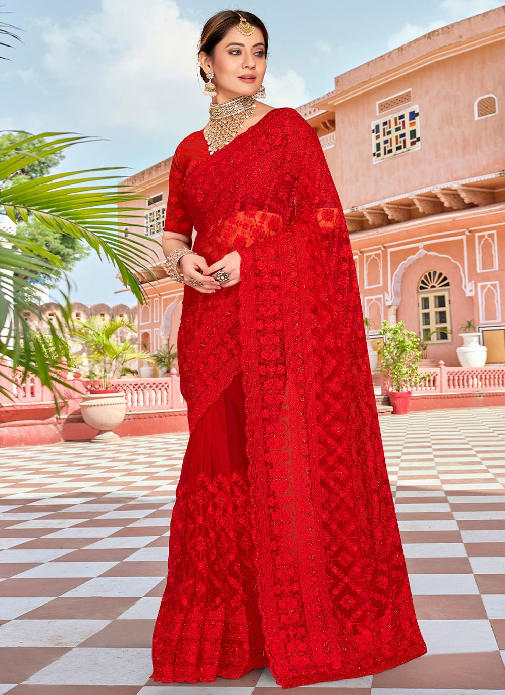 Trendy Embroidered Net Saree - S1760