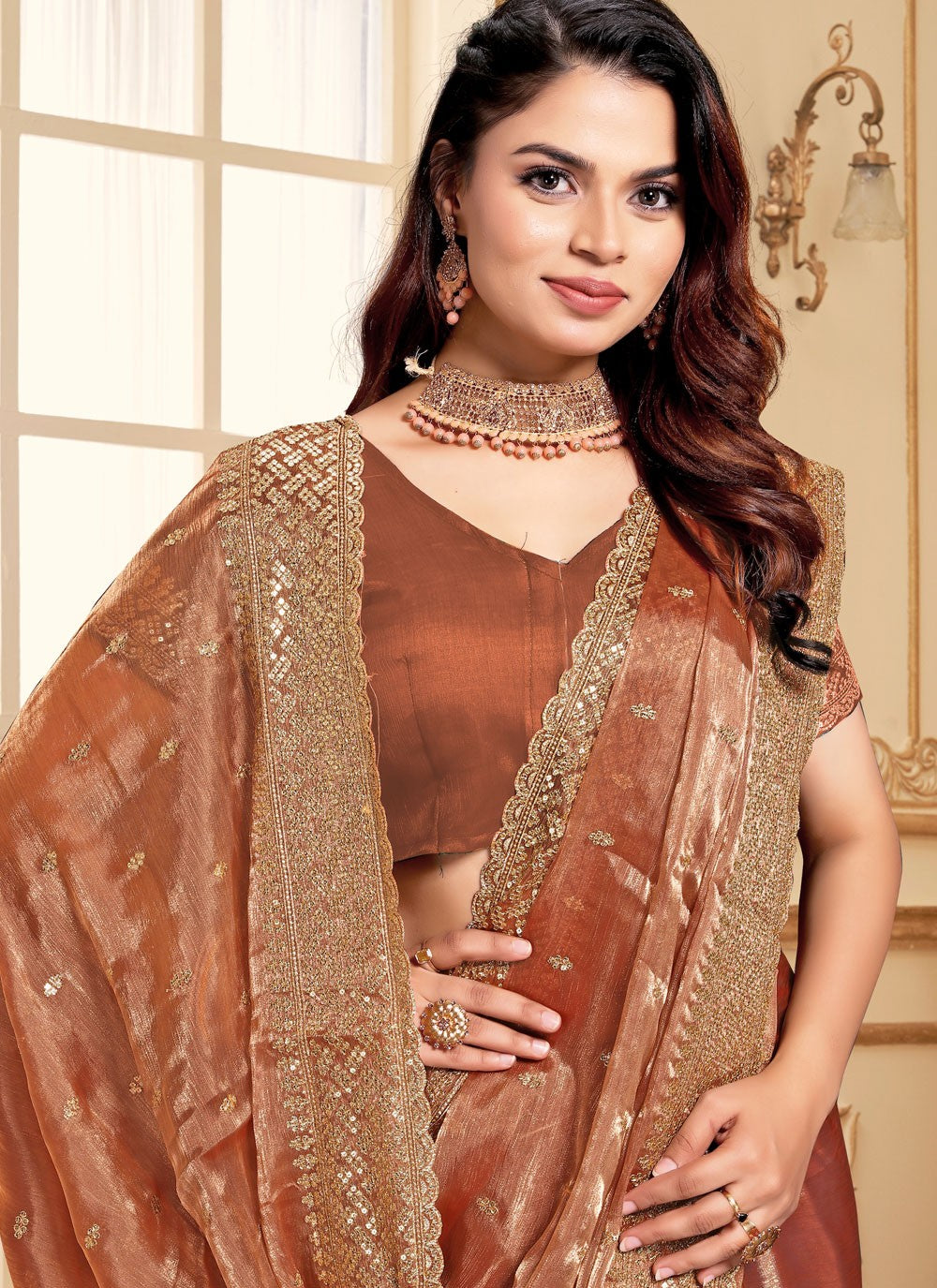 Classic Embroidered Jimmy Chu Saree - S8634