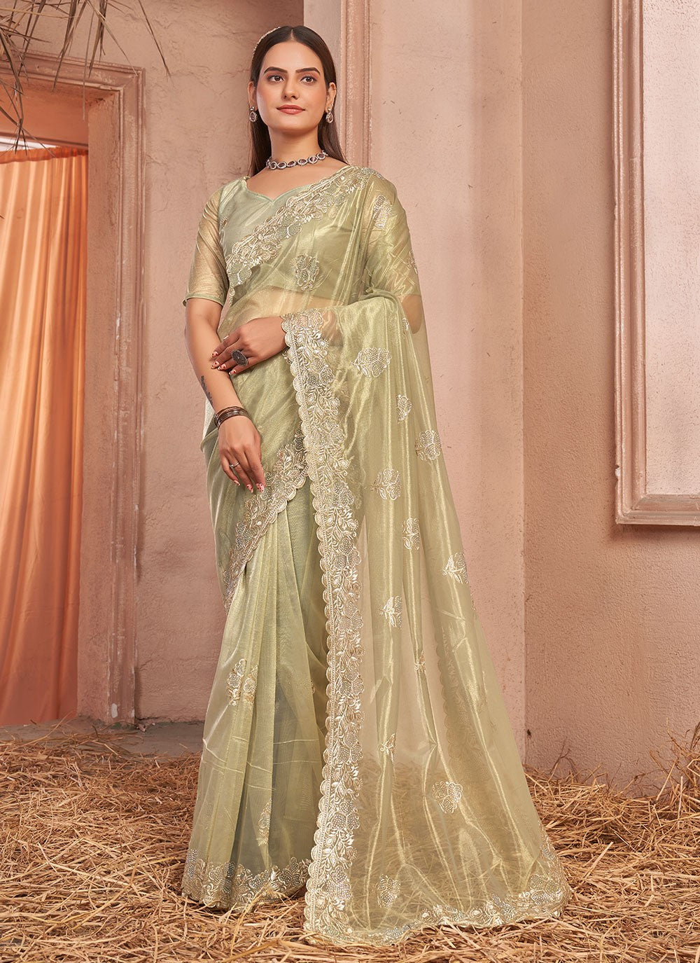 Classic Embroidered Net, Shimmer Saree - S7266