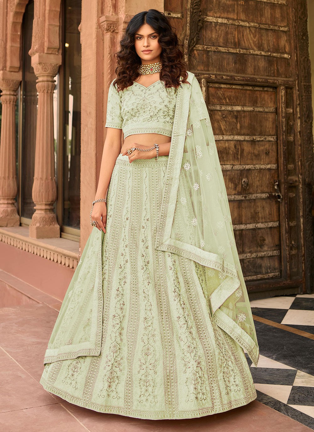 Sequins Organza A - Line Lehenga - L0342