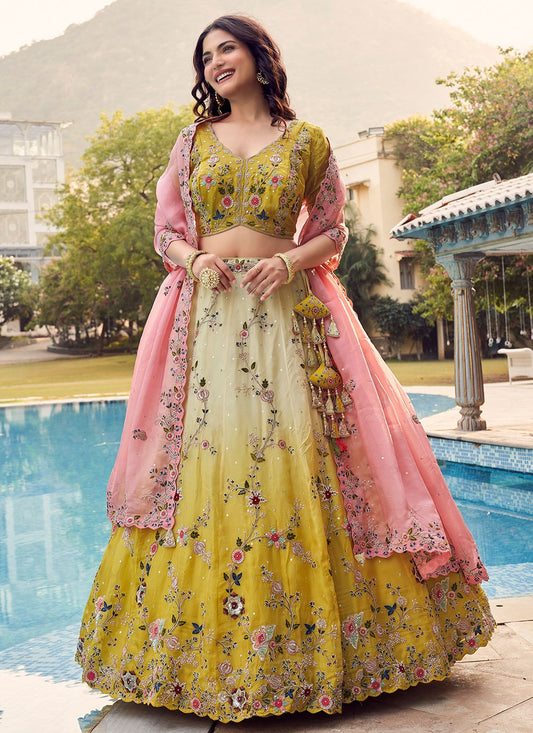 Embroidered Organza A - Line Lehenga - L1997