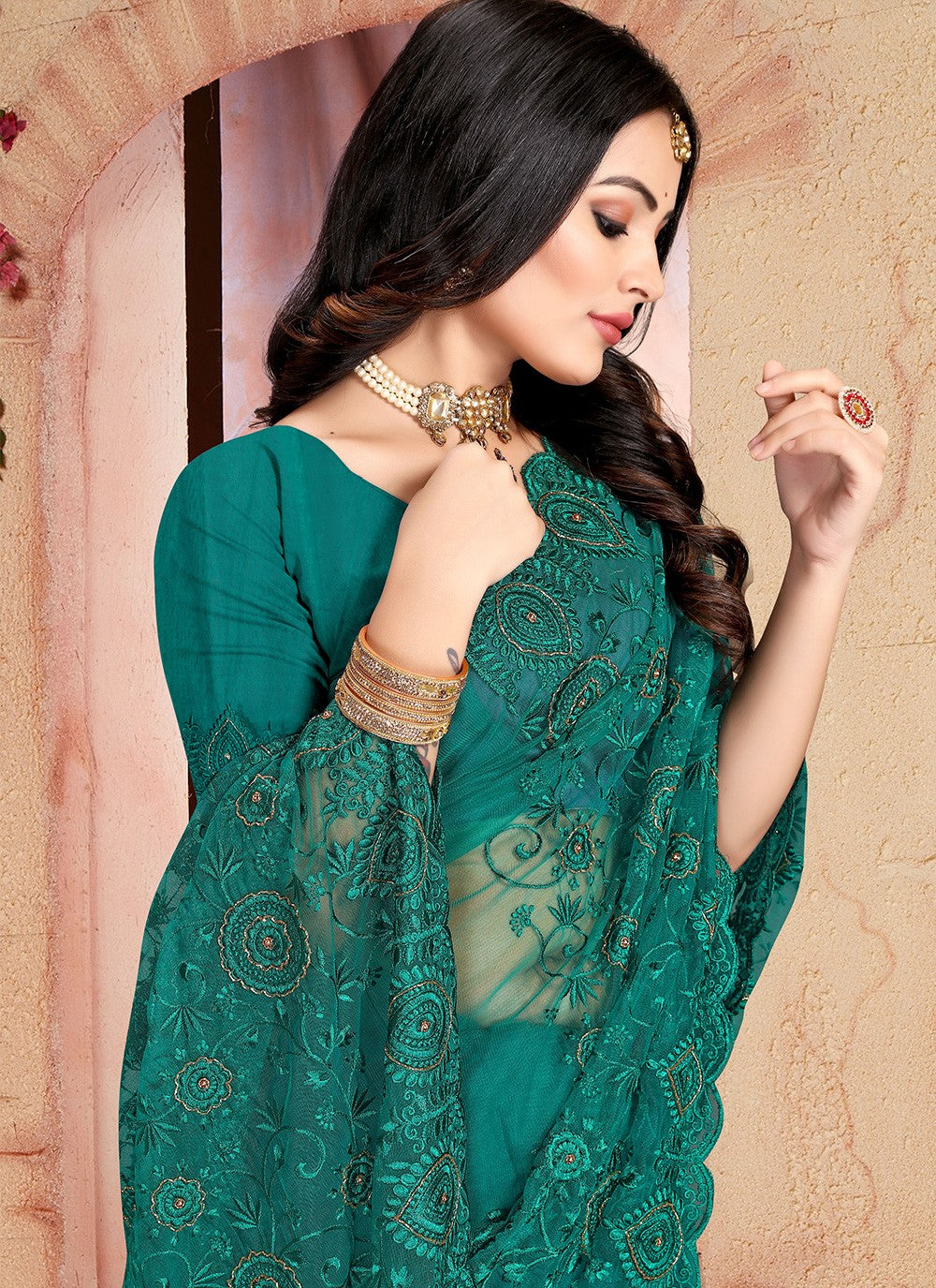 Classic Embroidered Net Saree - S2720