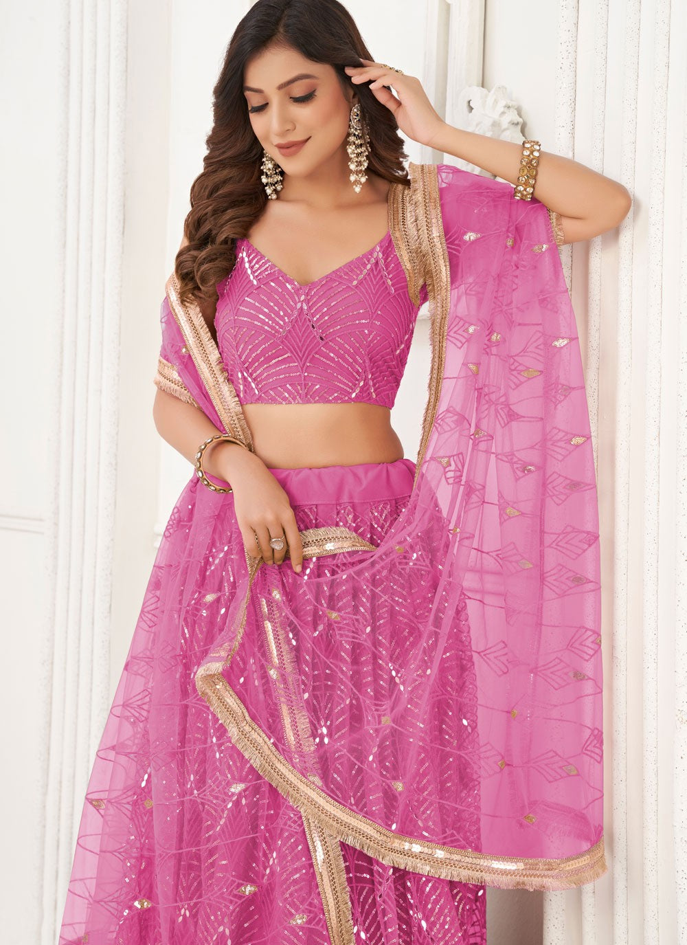 Embroidered Net A - Line Lehenga - L3011