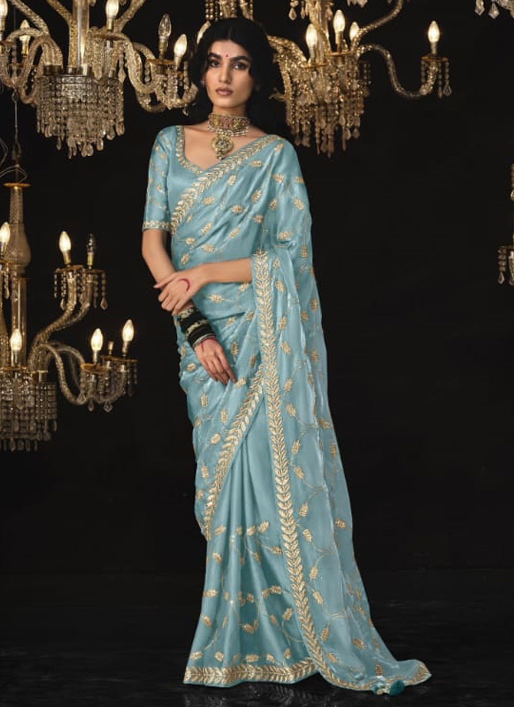 Classic Border Work Silk, Tissue Saree - S6590