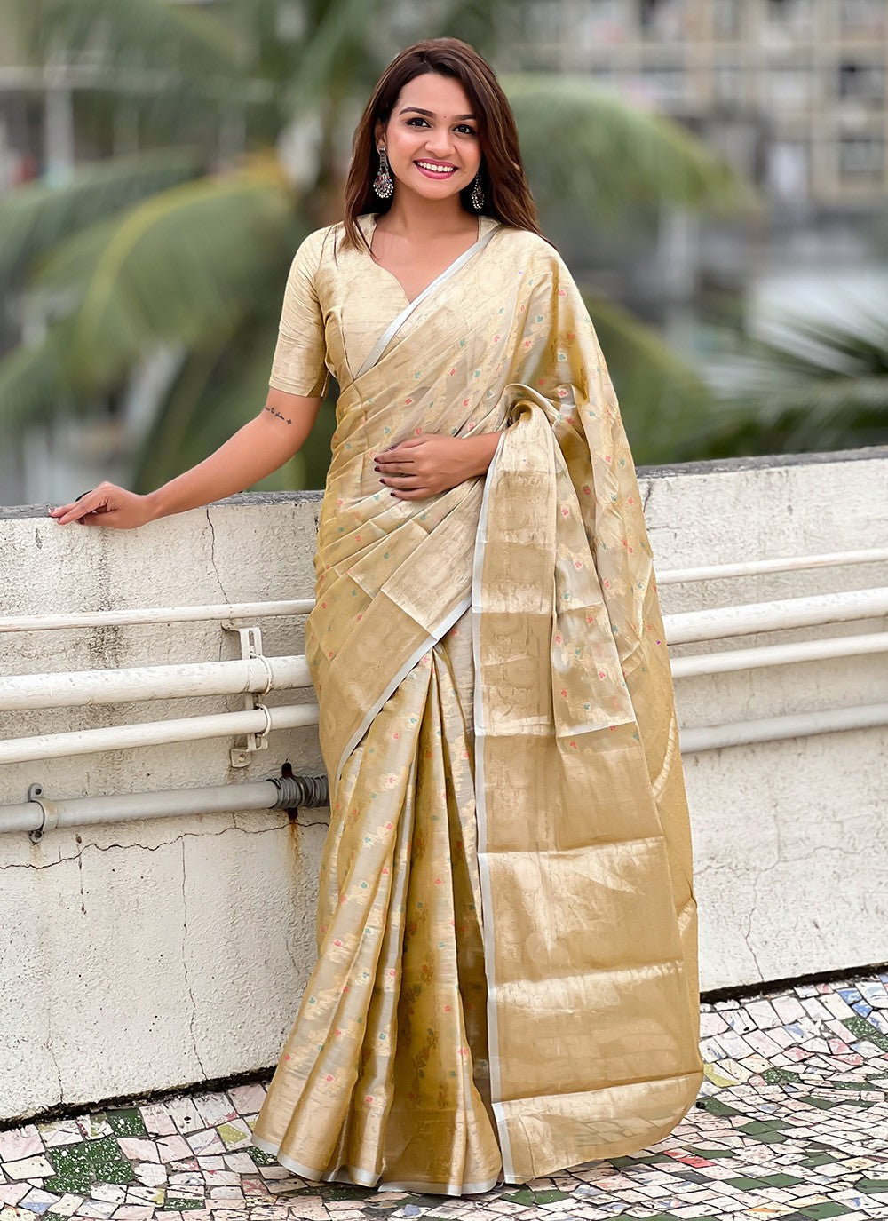 Classic Meenakari Silk, Tissue Saree - S9944