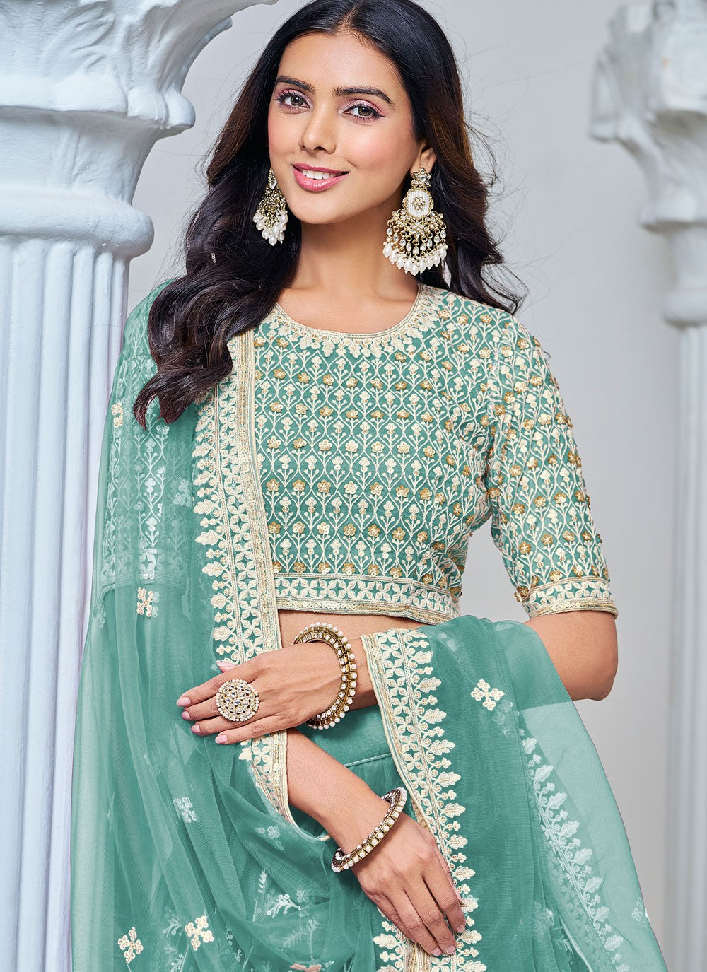 Embroidered Net Lehenga - L3031