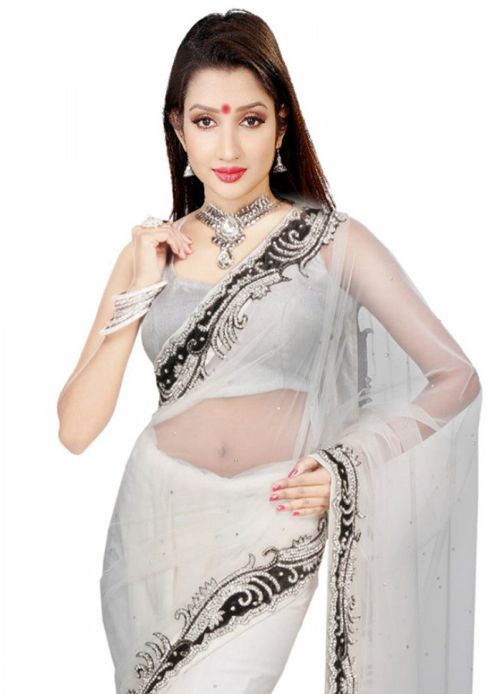 Classic Cutdana Net Saree - S1746