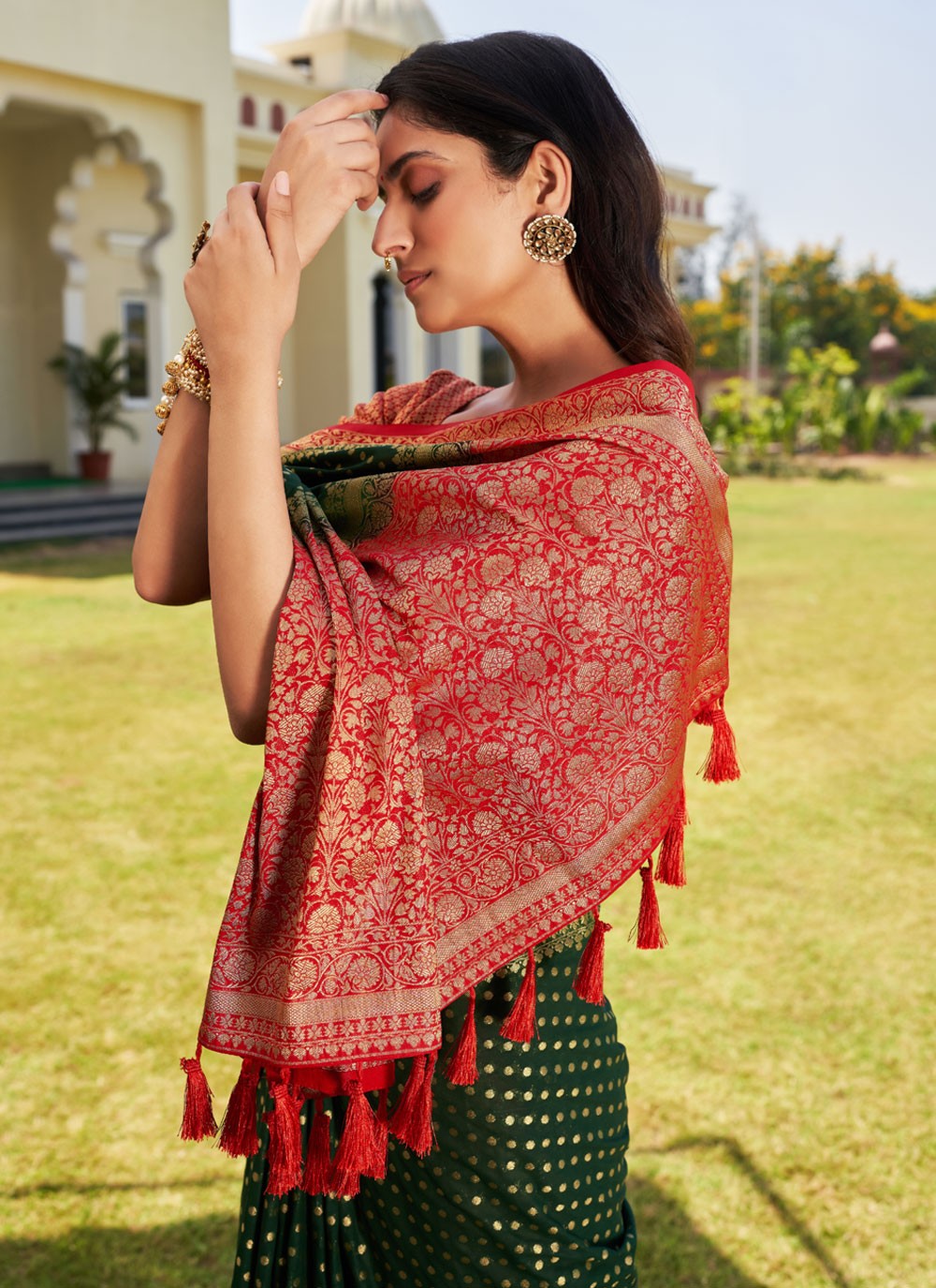 Classic Designer Georgette Saree - S3865