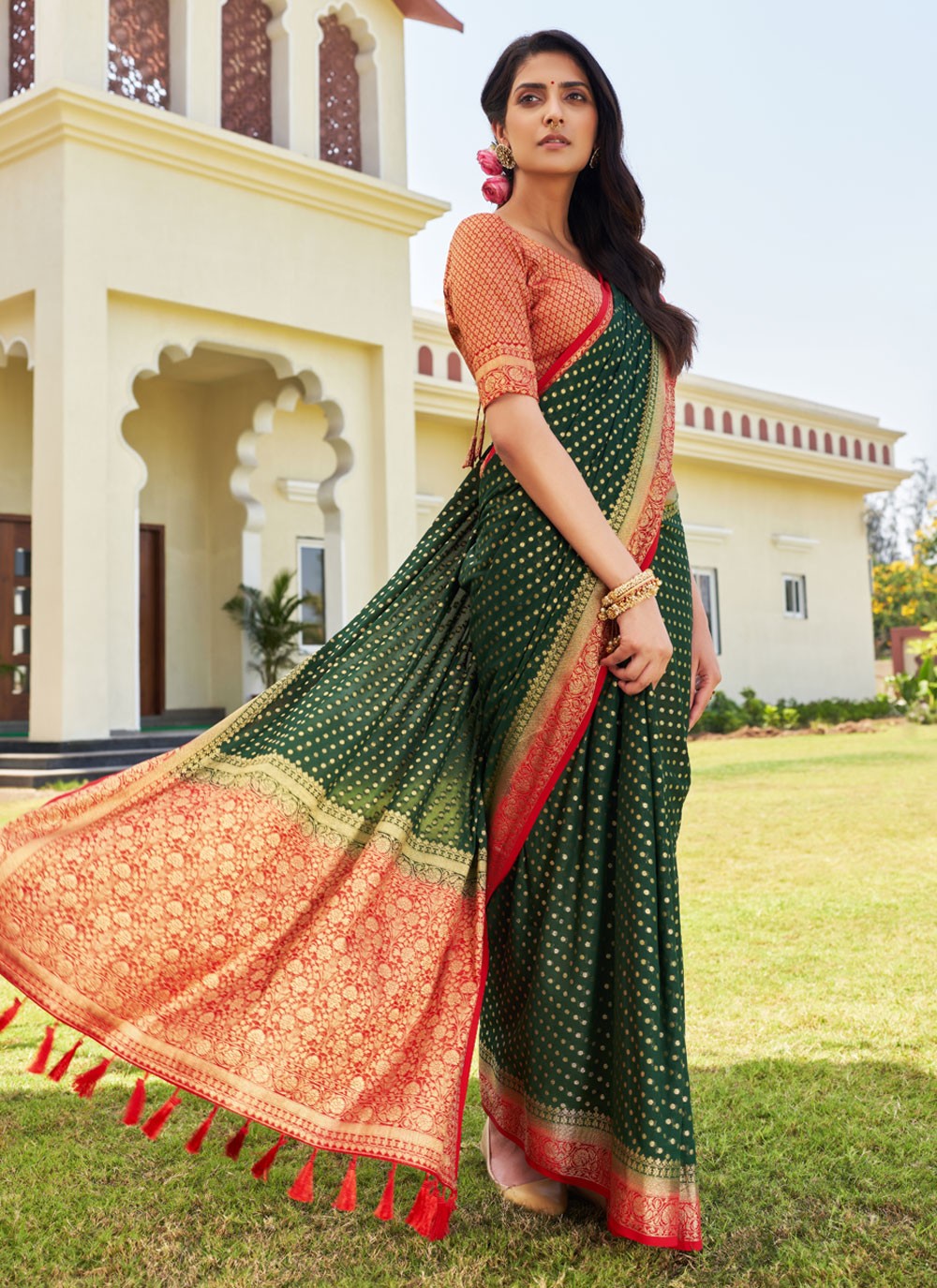 Classic Designer Georgette Saree - S3865