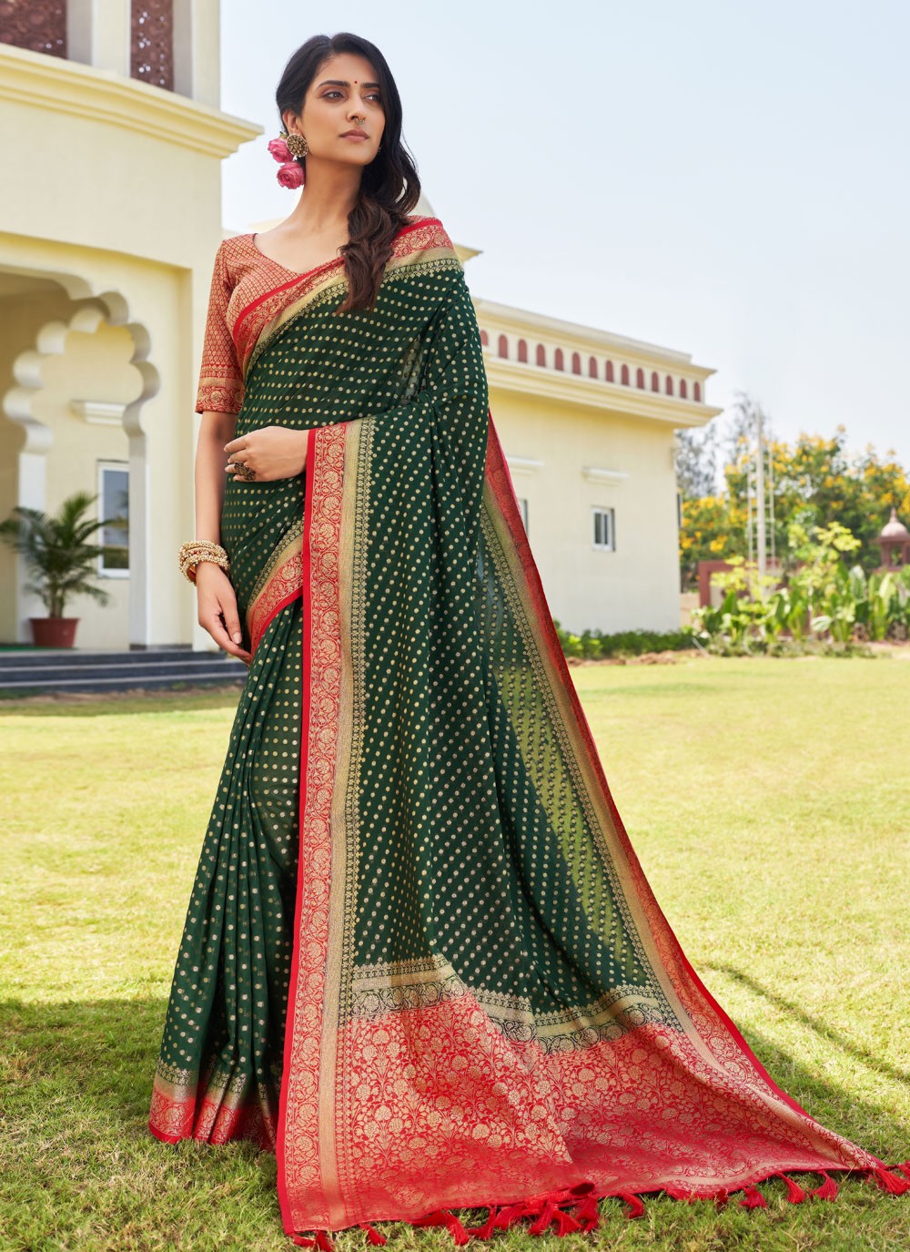 Classic Designer Georgette Saree - S3865