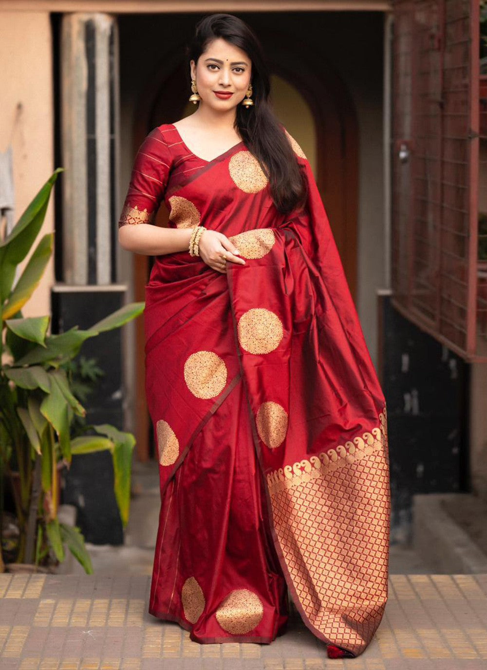 Classic Embroidered Organza Saree - S5835