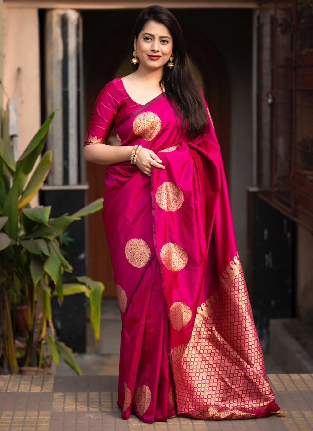 Classic Embroidered Organza Saree - S5835