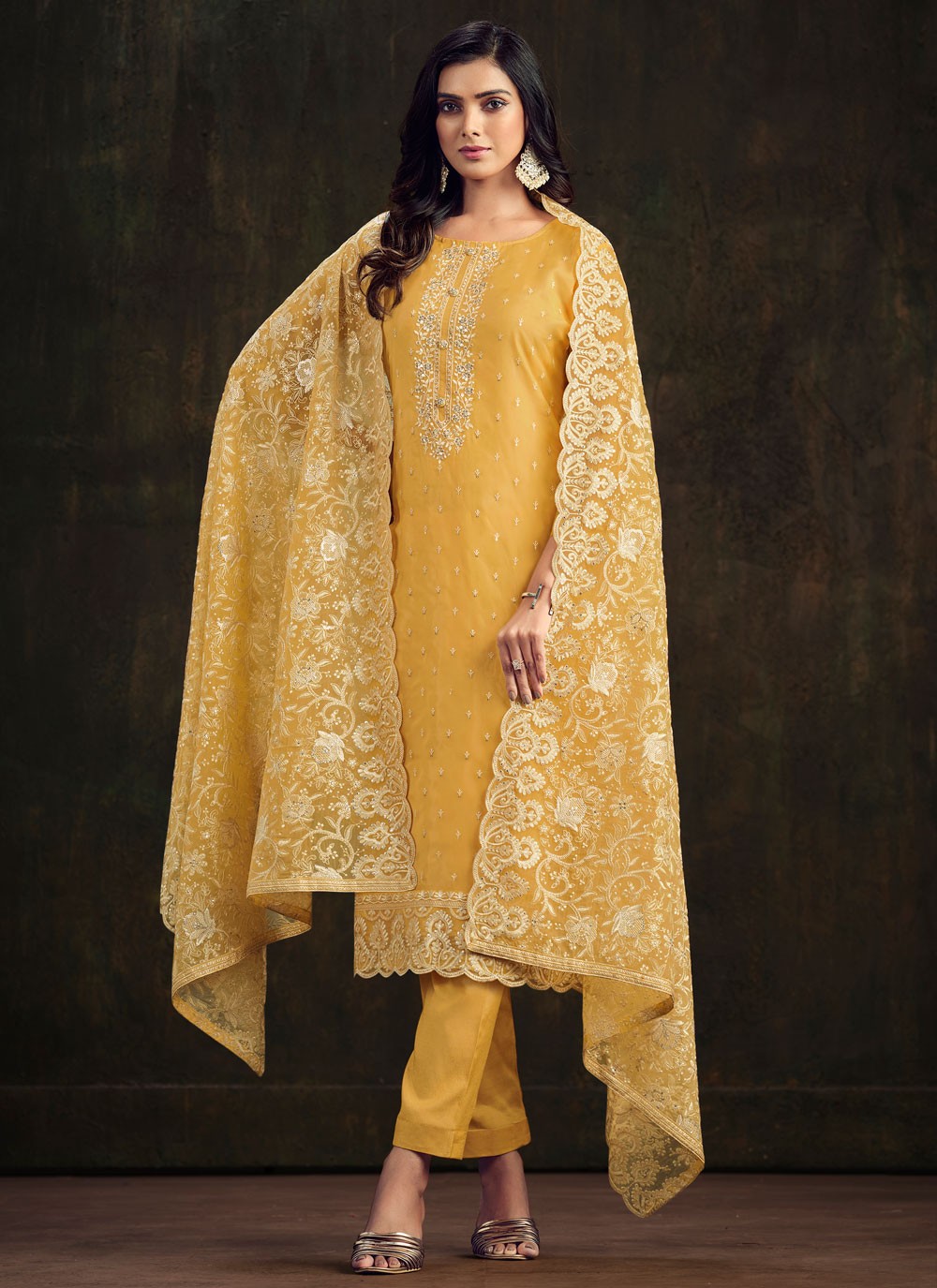 Organza Salwar Suit - T2415